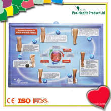 3D Embossed Medical Chart For Teaching